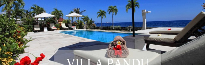 villapandu-slide3
